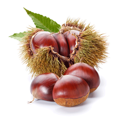 http://www.youcook.it/storage/public/ingredienti/castagne_002.png